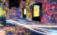 Nhật Bản: Bảo tàng tương lai dùng công nghệ xóa mờ các biên giới